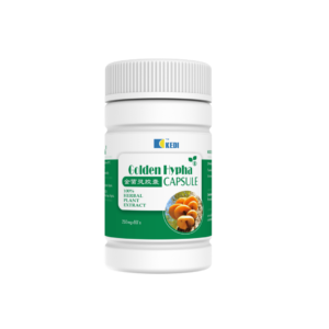 KEDI GOLDEN HYPHA – (90 CAPSULES)